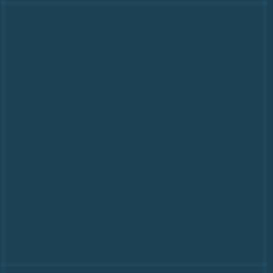 Washed Navy